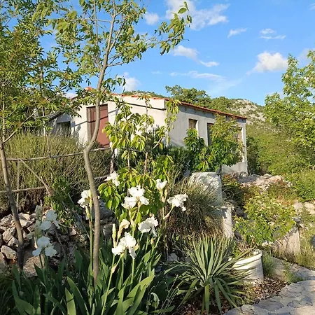 Robinson Haus Panorama