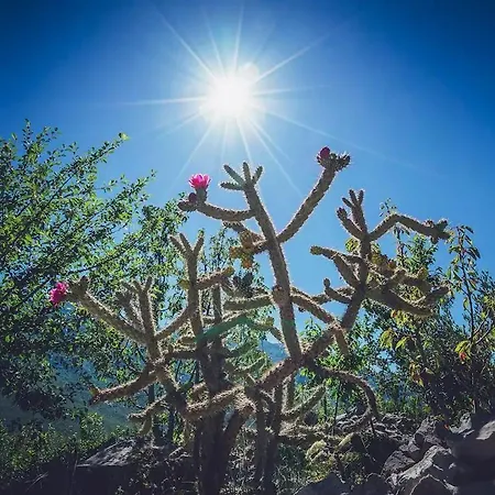 Chalet Robinson Haus Panorama No Electricity *